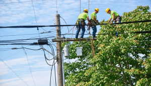 découvrez pourquoi l'élagage des lignes électriques et téléphoniques est essentiel en 2025 pour assurer votre sécurité, prévenir les coupures et éviter les risques d'incendie.
